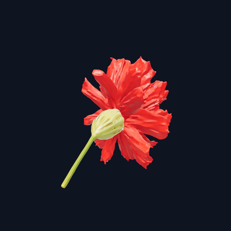 Dianthus Red Flower Model Pack